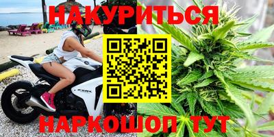 стаф Малгобек