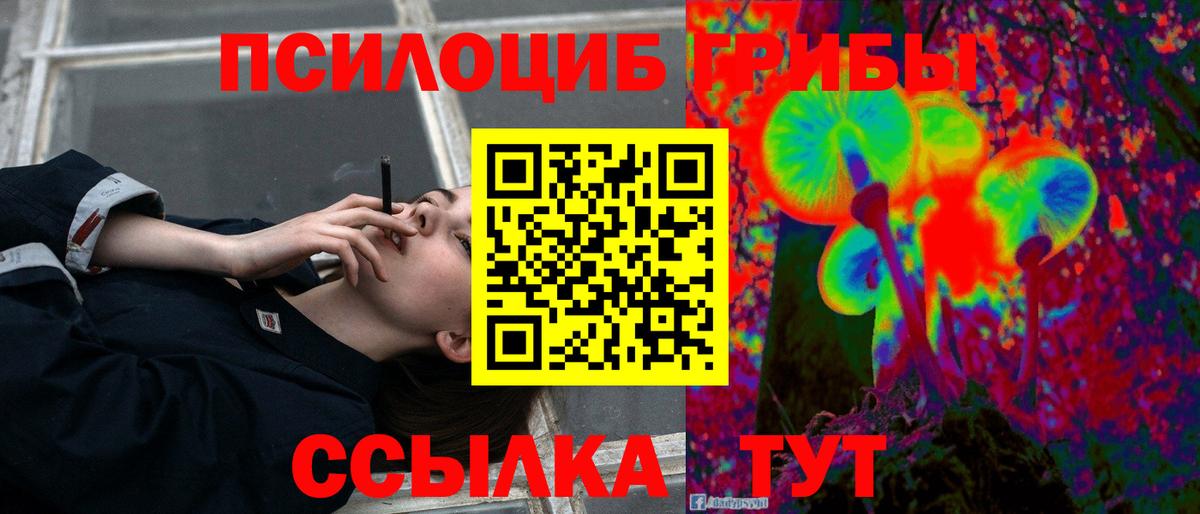 Тула  Галлюциногенные грибы Cubensis  Вход с VPN 